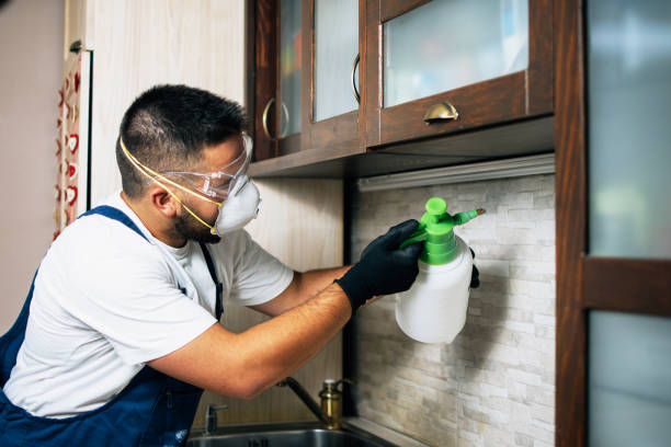 Insect Control in Nipomo, CA