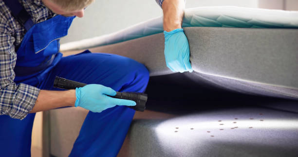  Nipomo, CA Pest Control Pros