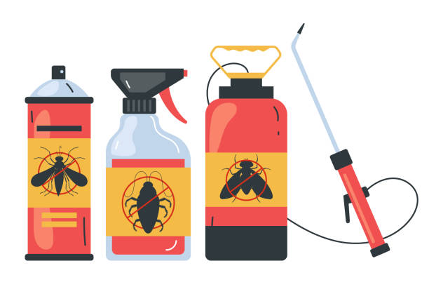 Best Spider Control Near Me  in Nipomo, CA